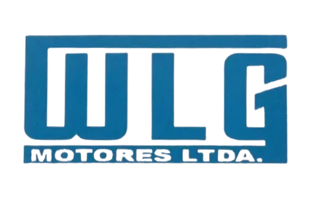 imagem de WLG Motores Ltda